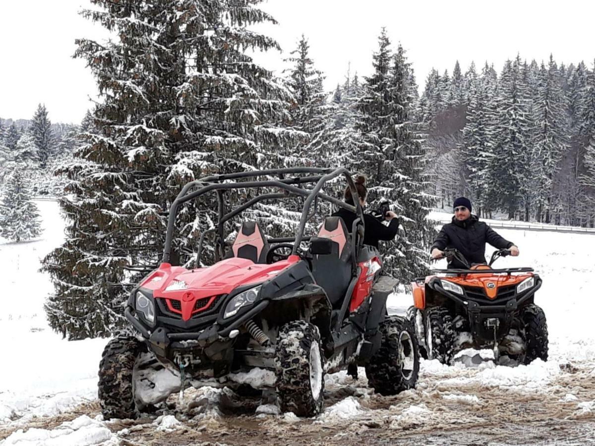 Luxury Mountain Apartment Poiana Brasov Luaran gambar